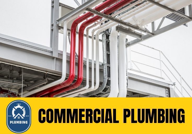 commercial plumbing Cobham
