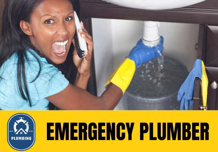 emergency plumber Cobham